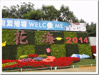 1119 002 - 台中新社花海 1119 002 - 台中新社花海