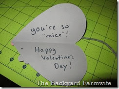 very mice Valentine - The Backyard Farmwife