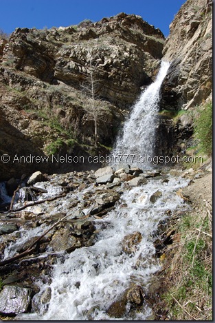 DSC_0907 DSC_0907
