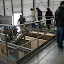 P1010575.JPG