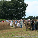 graanoogst-09-010.jpg