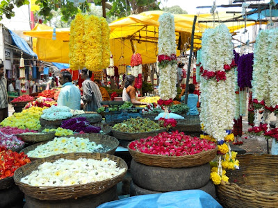Oh look- more flowers...