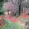 2012--11-11-Joledi-wandeling-Berismenil 070.jpg