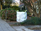 ''Green'' bags, Velp, The Netherlands