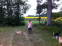 156.JPG Photo