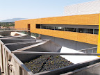 p1286779099(23).jpg