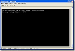 beaglebone_install_openssh_server_start beaglebone_install_openssh_server_start