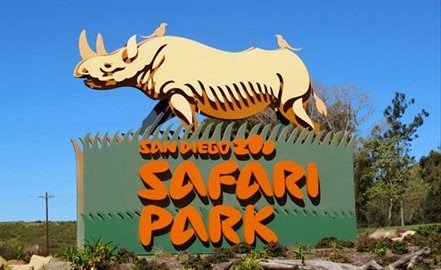 [san-diego-safari%255B3%255D.jpg]