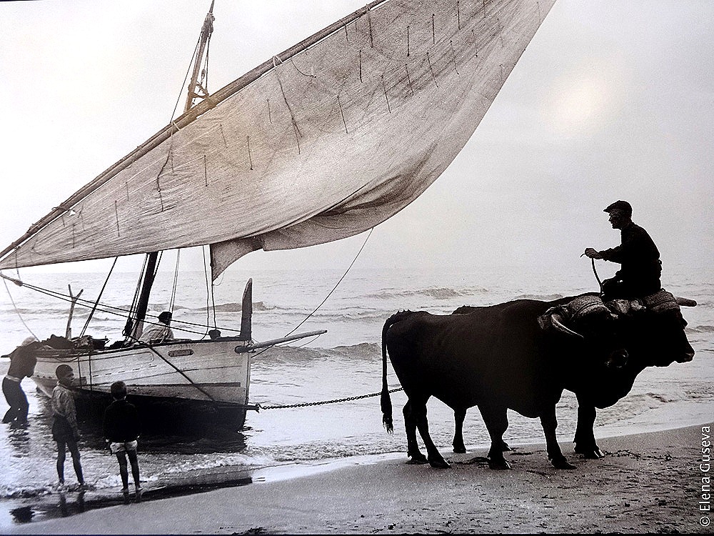 [30%255B10%255D.jpg]