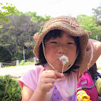 くれよん阪神 5月002.jpg