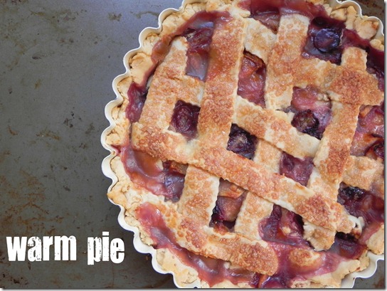 grape-and-apple-pie-5 grape-and-apple-pie-5