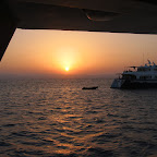 101-0146_IMG.JPG