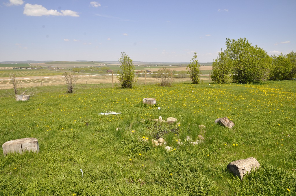 [_DSC0546%255B3%255D.jpg]