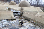 We should probably inspect the burlapping and see how it's holding up.  Darn, my feet are getting wet in these puddles.