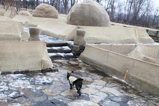 We should probably inspect the burlapping and see how it's holding up.  Darn, my feet are getting wet in these puddles.