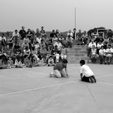 031.JPG