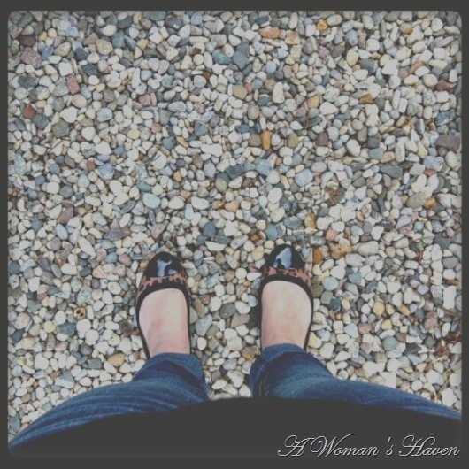 [2579%255B2%255D.jpg]