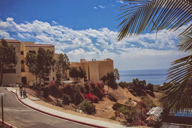 pepperdine nso-3