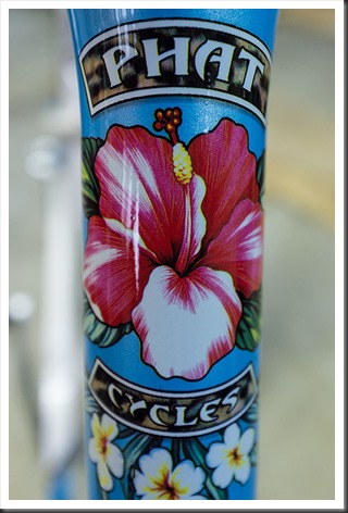 phat aloha mahalo beach cruiser