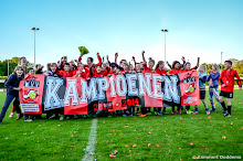 20140515 - WVV D4 - VEENDAM D3 - kampioenswedstrijd D4 - 075.jpg