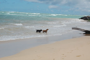 DSC_0113.JPG