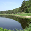 dsc03748.jpg
