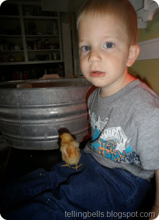 SAM_2513 SAM_2513