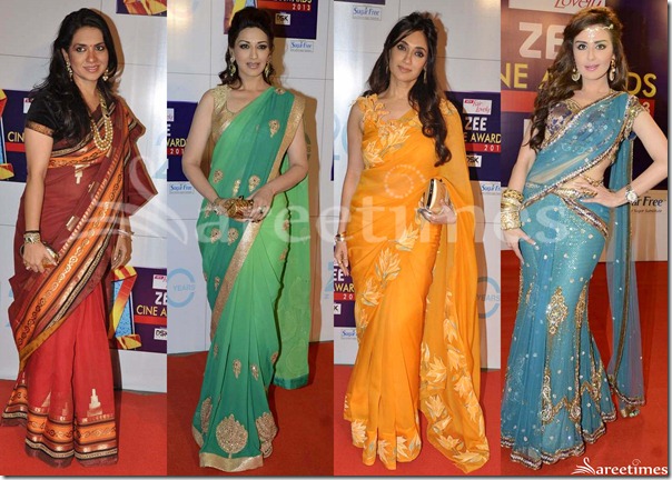 Sarees_Zee_Cine_Awards_2013(3)