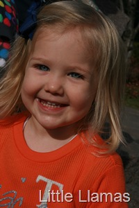 [IMG_1201%255B4%255D.jpg]