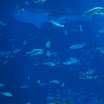 Ga & FL trip 113.JPG