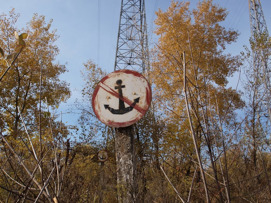 PA235628.JPG