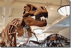 260px-Field_dinos_2-001
