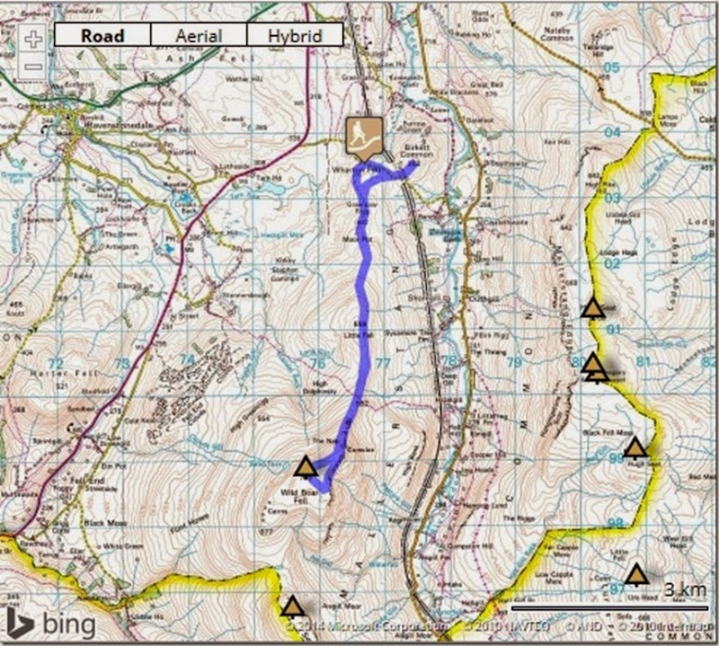 wild boar fell