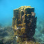 Colonne de corail