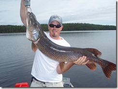 Northern Pike Dove