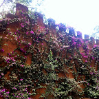 Tloma Lodge © Fotos: Doreen Schütze | Outback Africa Erlebnisreisen
