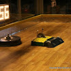 IMG_0231 AS_.jpg