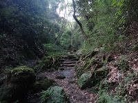 DSC00492.JPG Photo