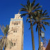Palmen in Marrakesch