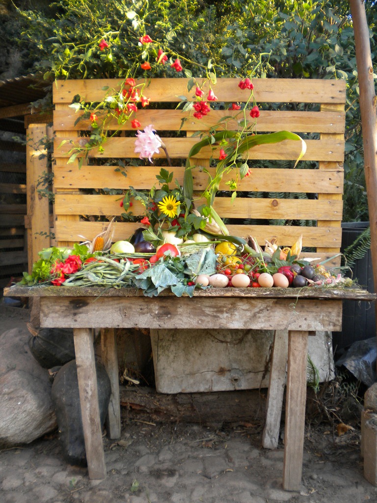 [DSCN5130%255B8%255D.jpg]