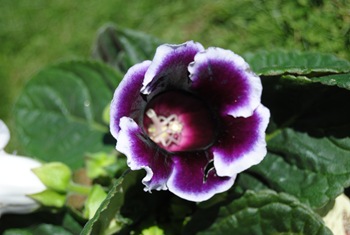 DSC_0231 DSC_0231