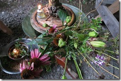 flowers and fire flowers and fire
