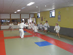 Judo - 3 juli 2009: Foto