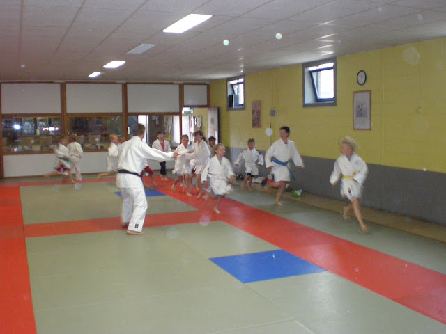Judo - 3 juli 2009: Foto