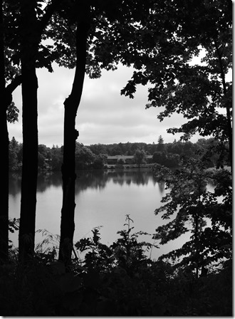 DSCN0863 DSCN0863
