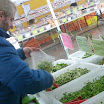 P1010083.JPG