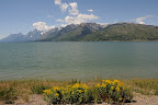 DSC_2416.JPG