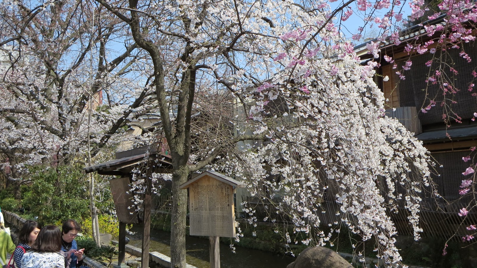 [IMG_2587%255B3%255D.jpg]