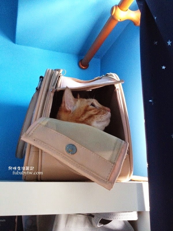 調整大小IMG_7204 調整大小IMG_7204