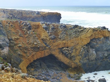 [P1010435%255B3%255D.jpg]